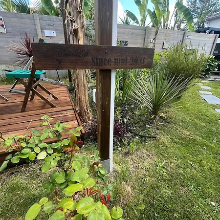 Accueillant A Avec Jardin
