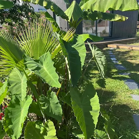 Accueillant A Avec Jardin *