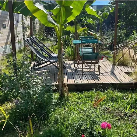 Accueillant A Avec Jardin Chalet